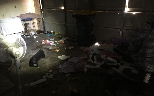 puppy in small cage in dark room
